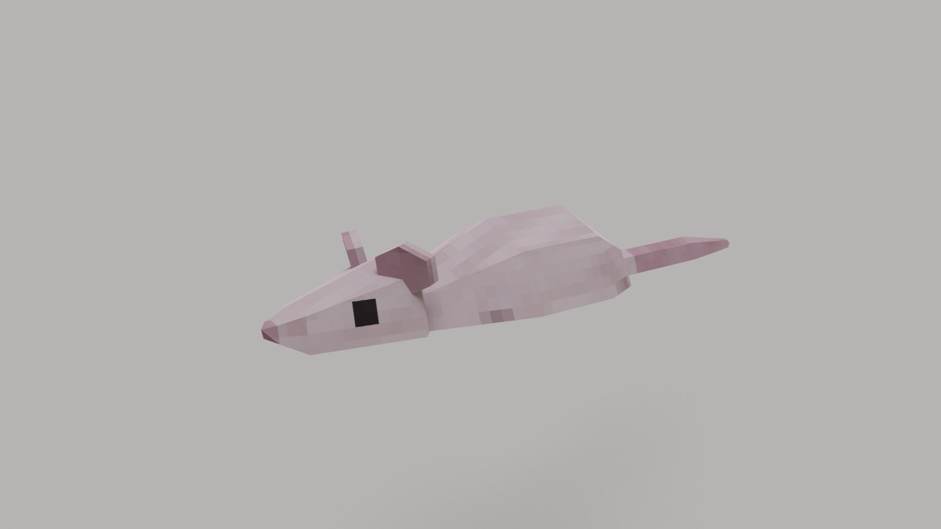 Low Poly Rat Low-poly 3D model_5