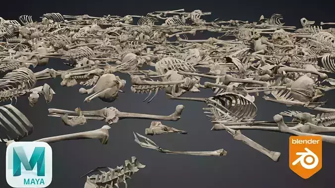 Old Human Bones On Floor 3D model Low-poly 3D model