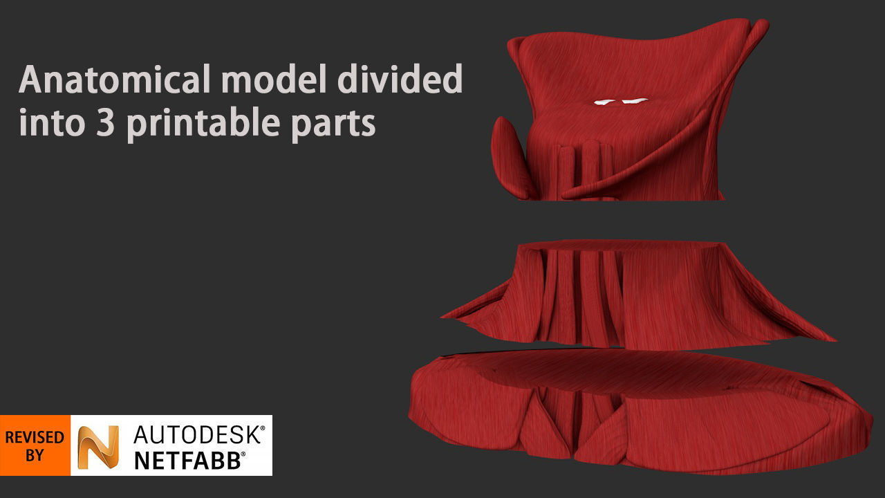 Human neck muscles 3D print model_2