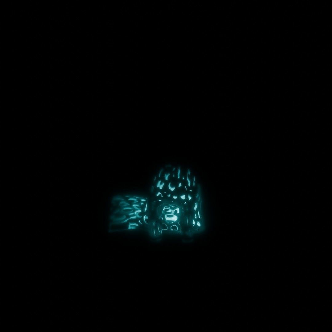 Spirit of the fox Vornoi edition 3D print model_15