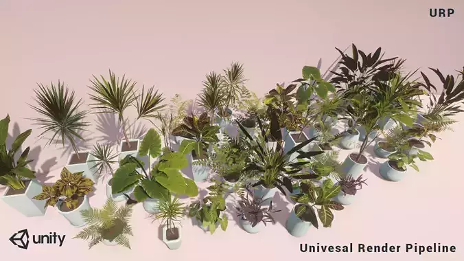 Indoor Plants Unity Asset Low-poly 3D model