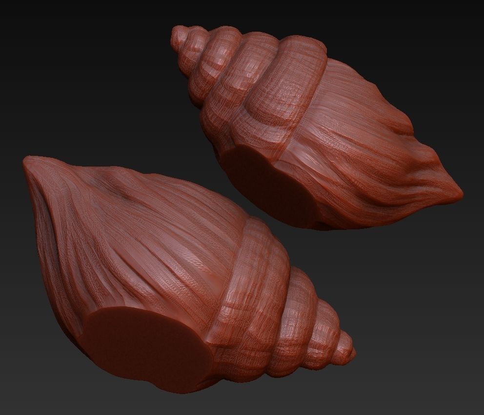 SeaShell container 3D print model_12