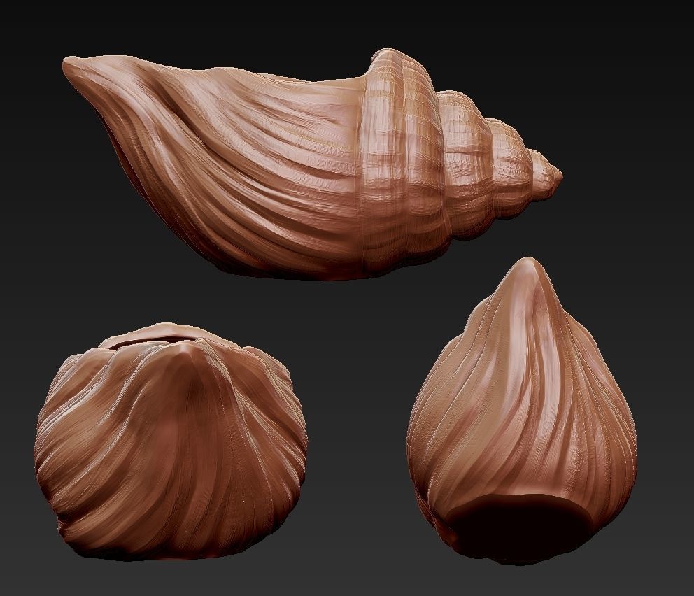 SeaShell container 3D print model_9