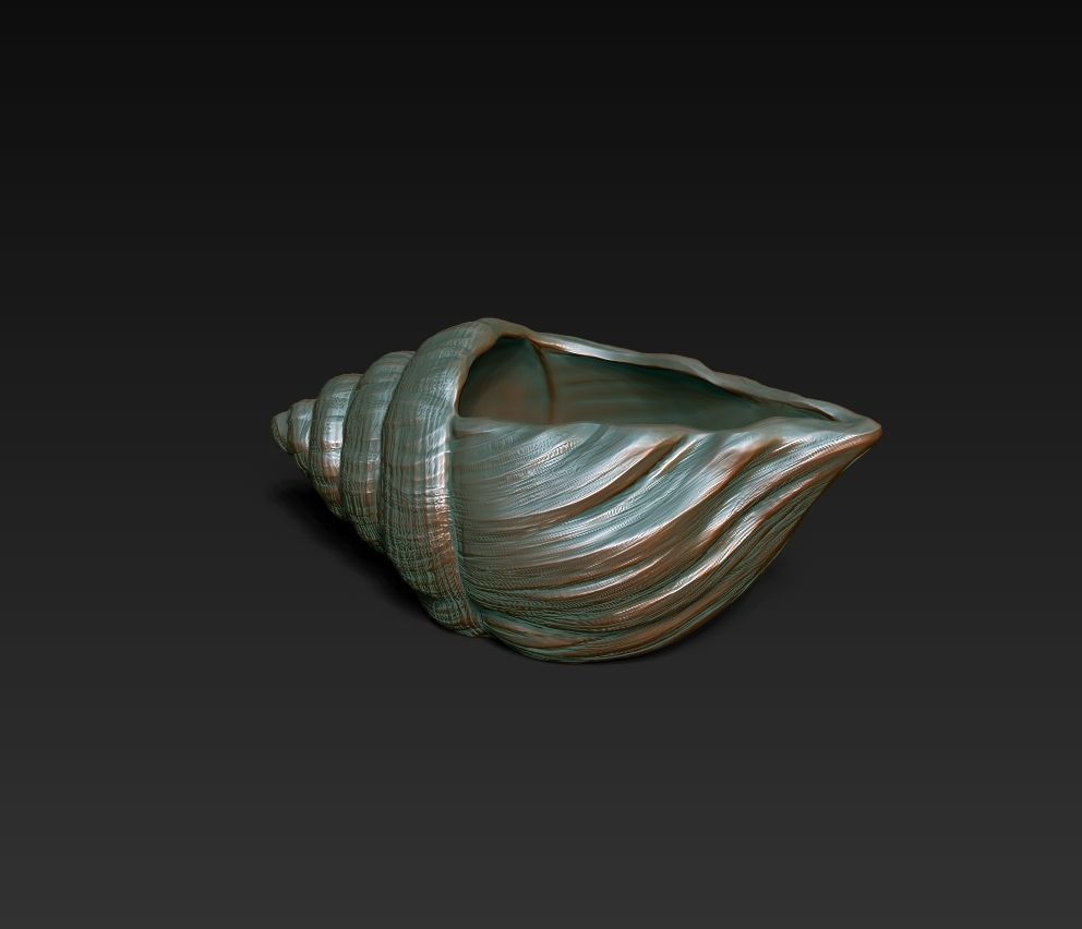 SeaShell container 3D print model_2