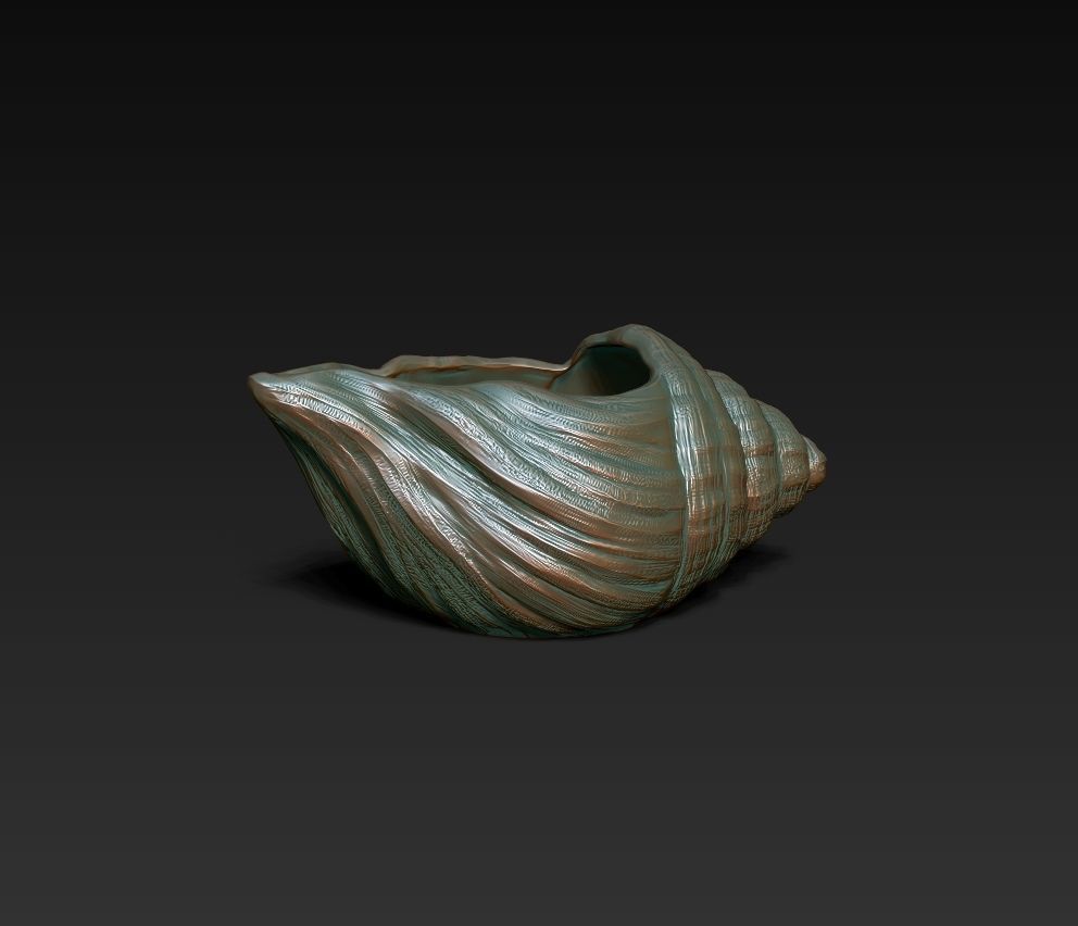 SeaShell container 3D print model_1