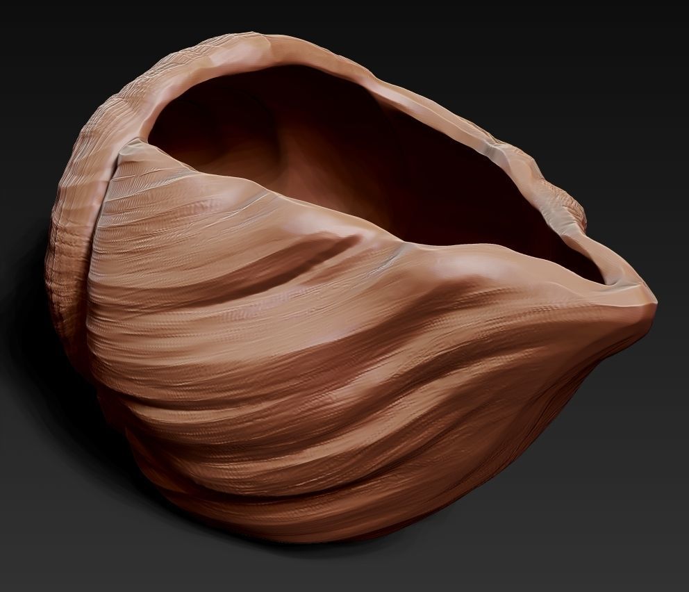 SeaShell container 3D print model_7