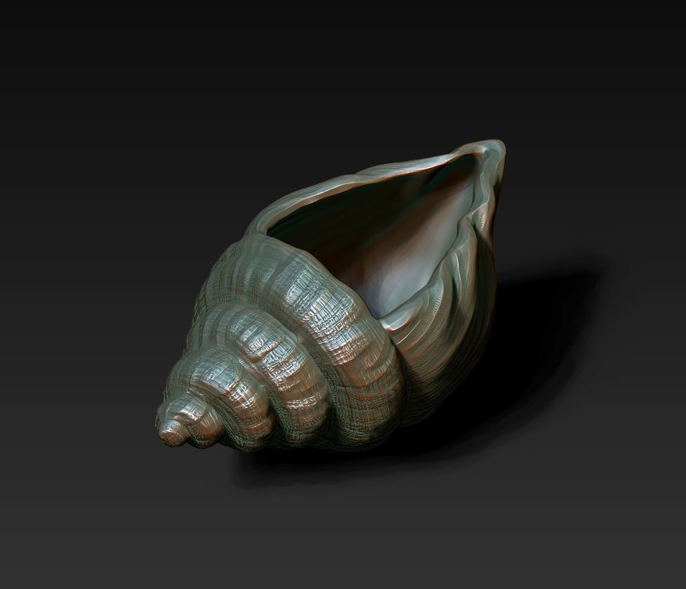 SeaShell container 3D print model_5