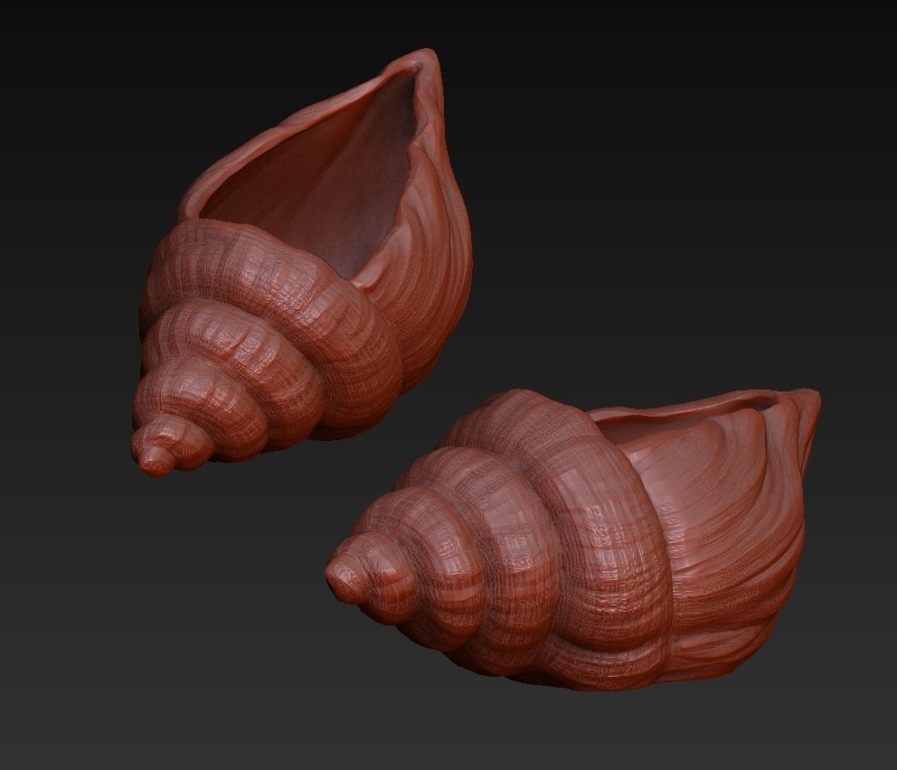 SeaShell container 3D print model_10