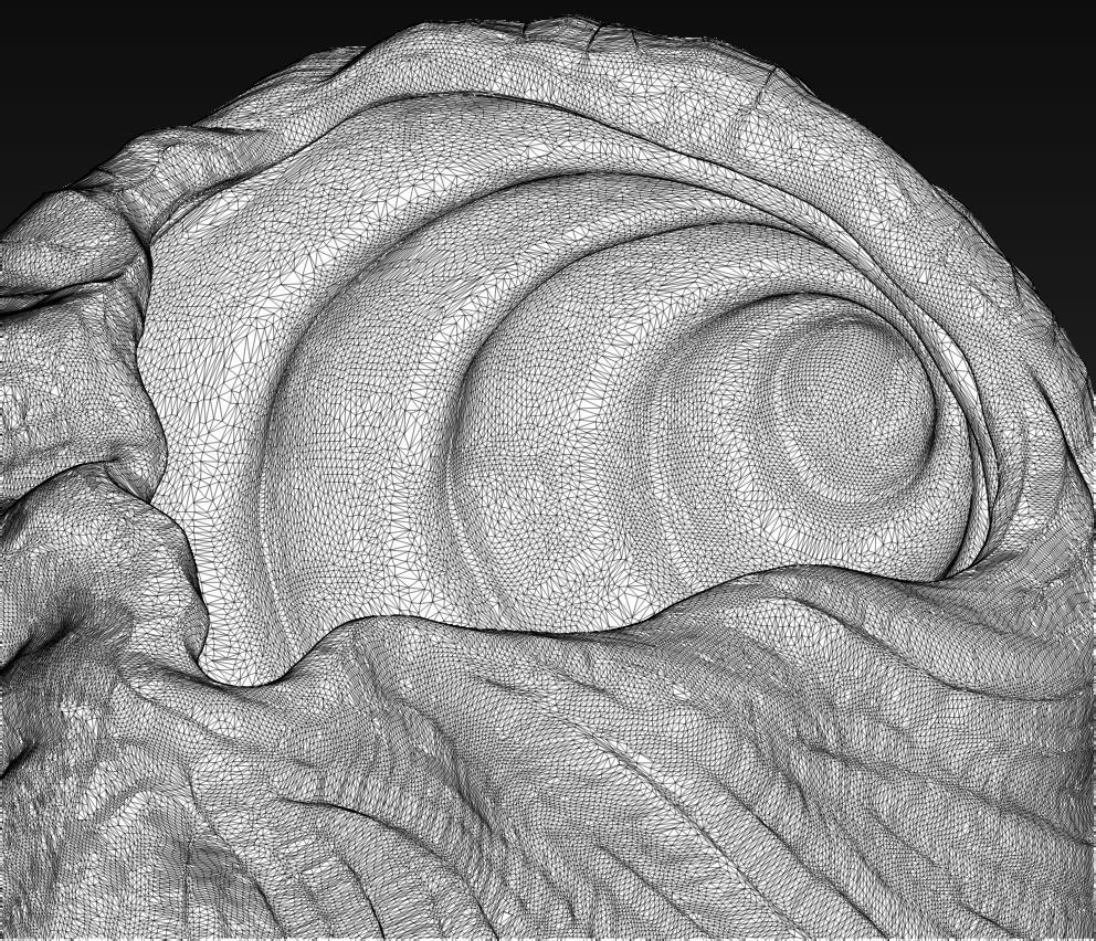 SeaShell container 3D print model_14