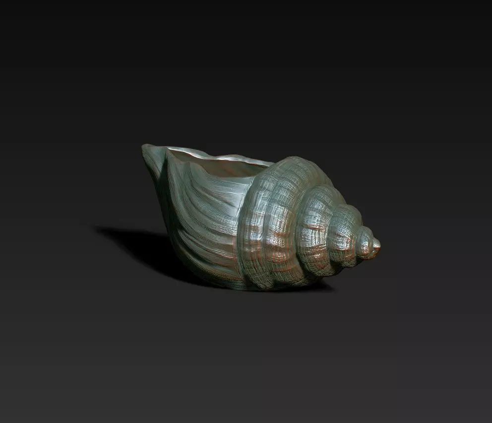 SeaShell container 3D print model_0
