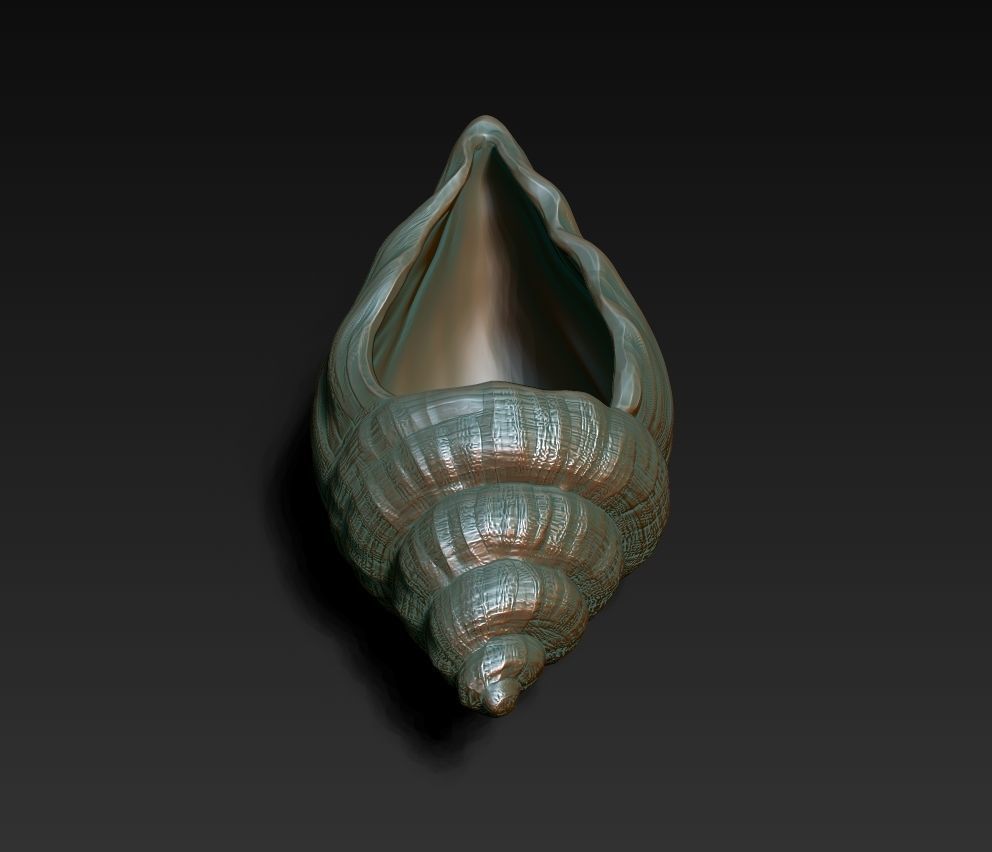 SeaShell container 3D print model_4