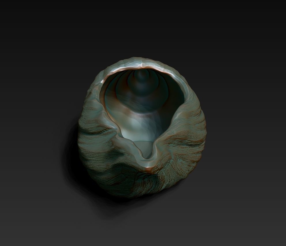 SeaShell container 3D print model_3
