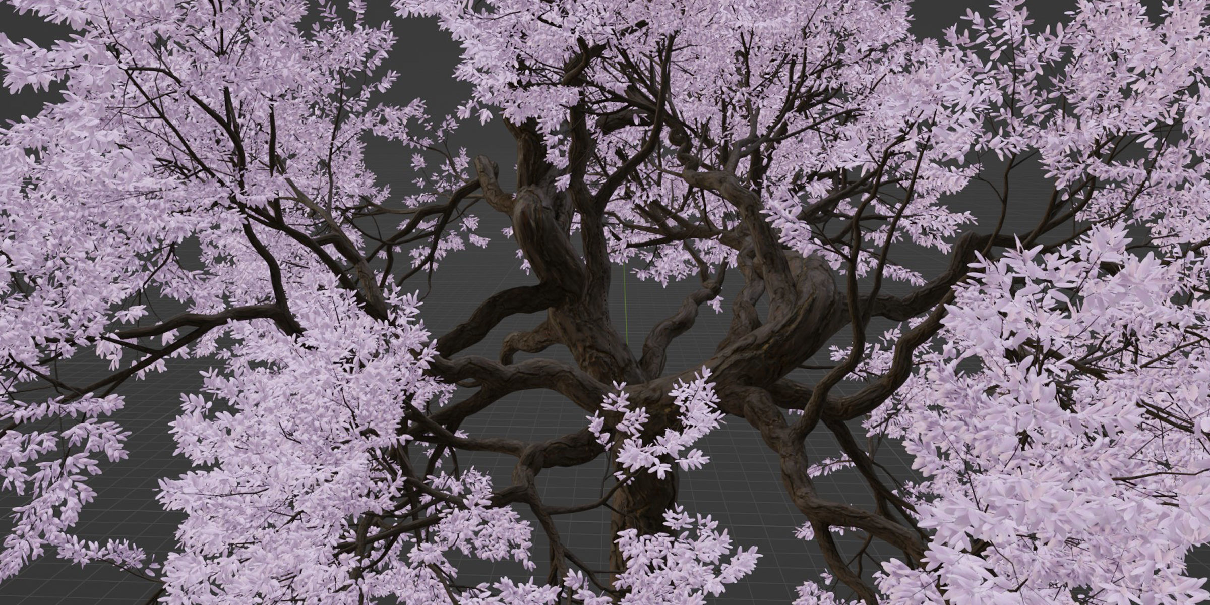 Cherry blossom tree vol 199-Blender 3D model_6