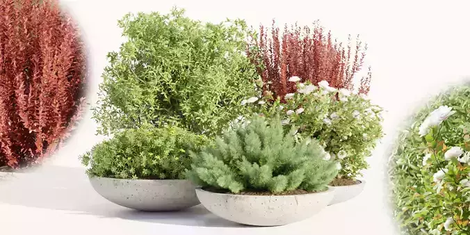 Outdoor plants collection vol 200-Blender