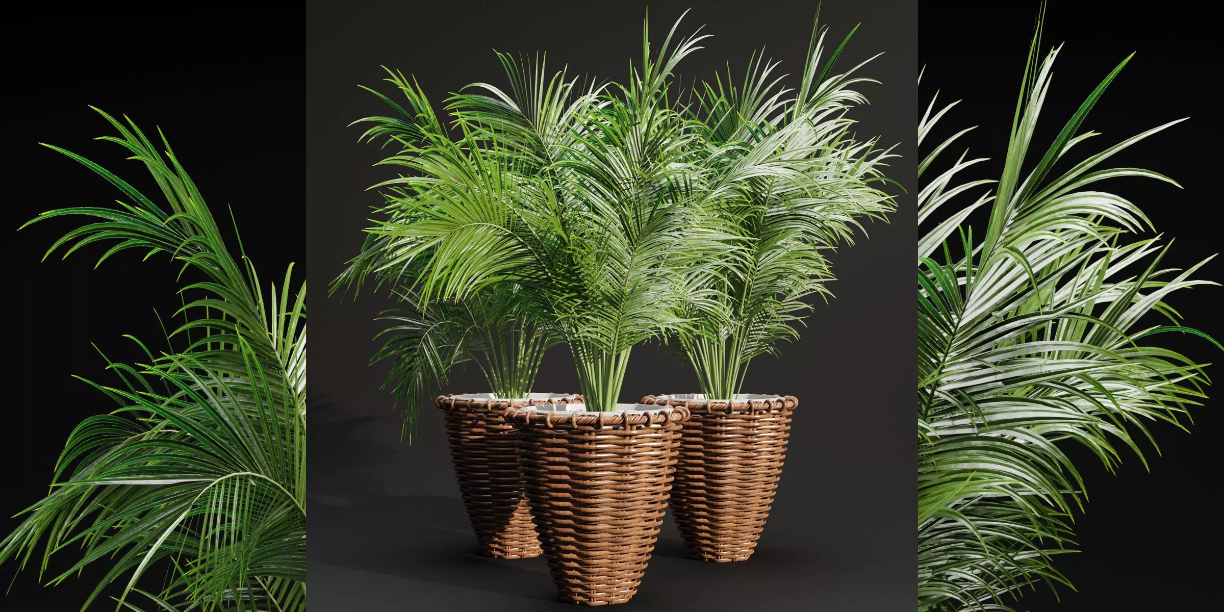 Indoor Plants Collection vol 202-Blender 3D model_0