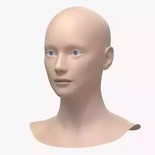 Natural Female Head 01 Base Mesh