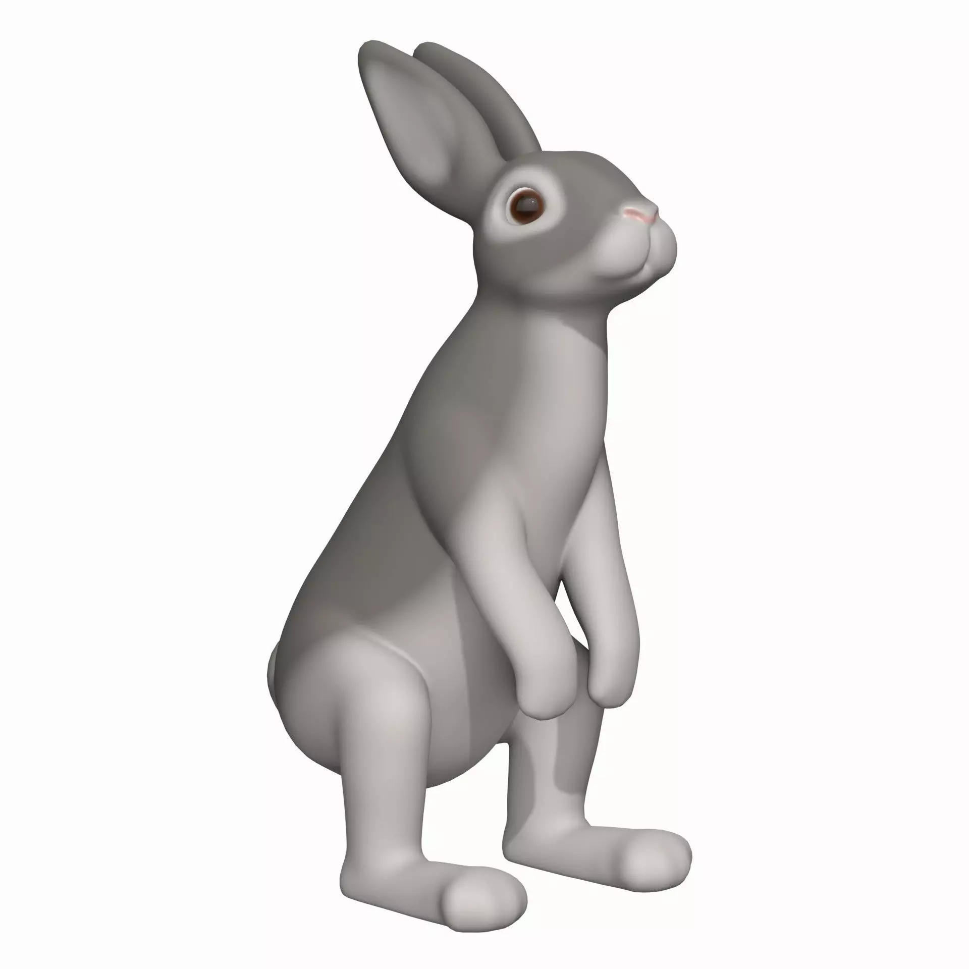 Gray rabbit 3D model