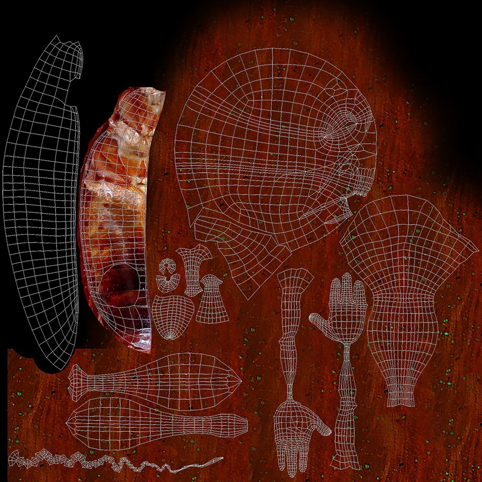 Cockroach Character Low-poly 3D model_14