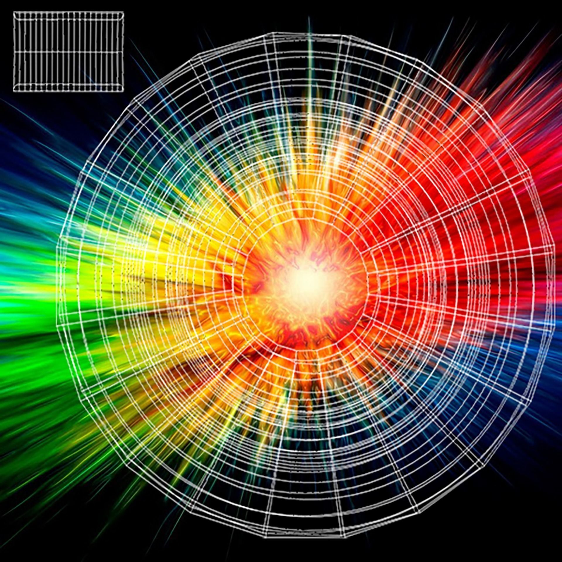 Cockroach Character Low-poly 3D model_20