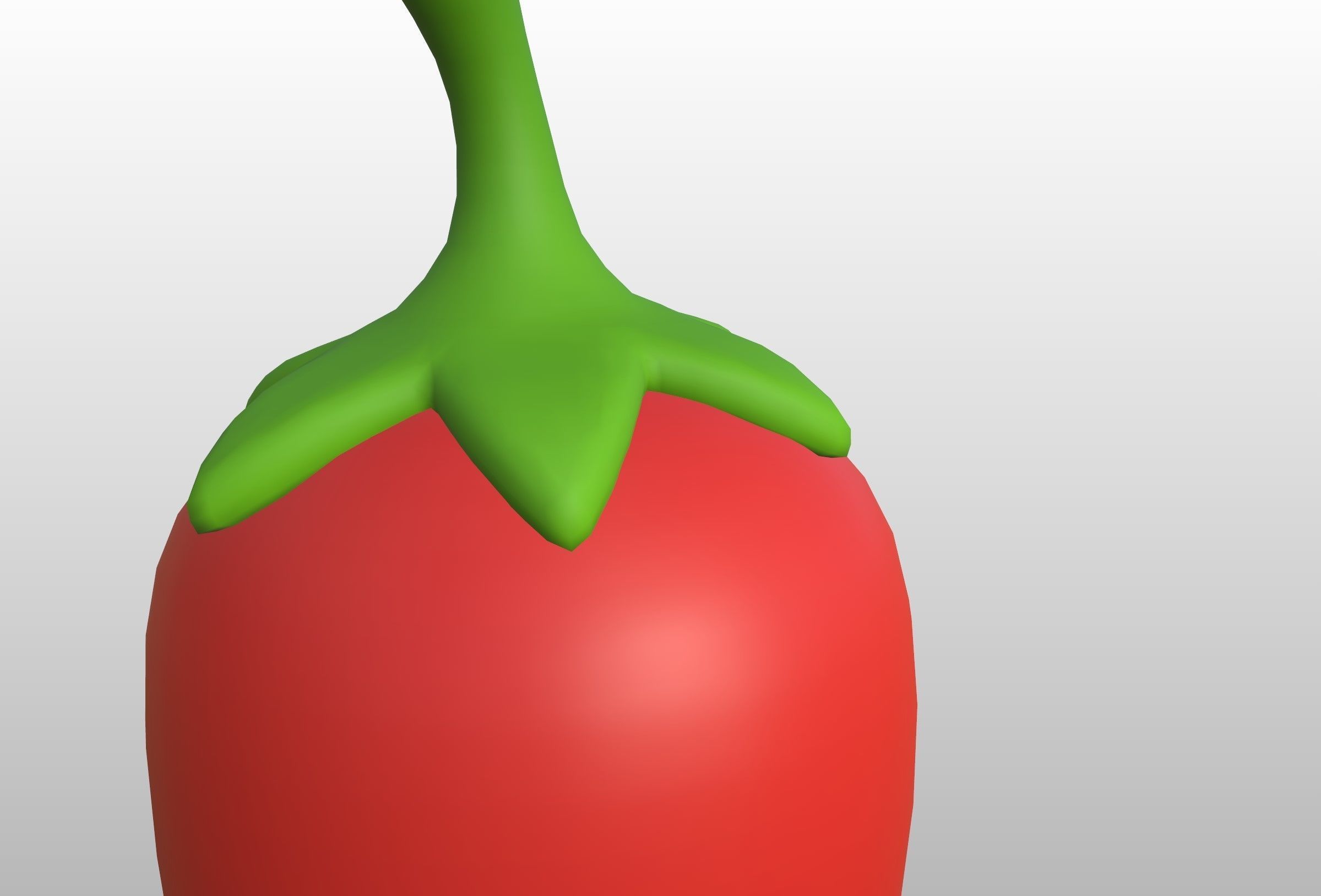 Chili 3D model_17