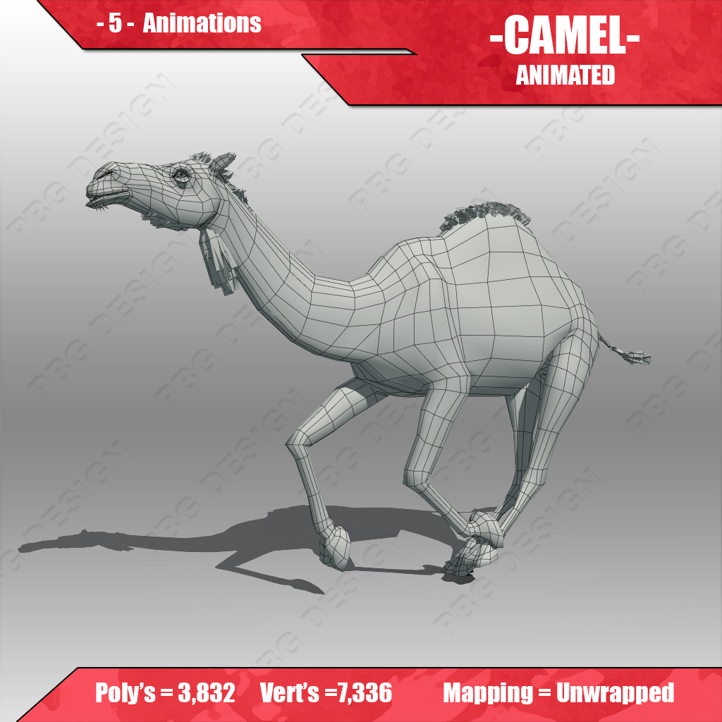 Camel Animated Low-poly 3D model_8