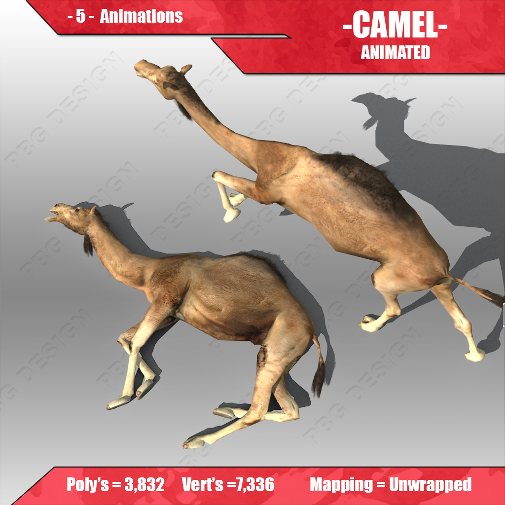 Camel Animated Low-poly 3D model_1