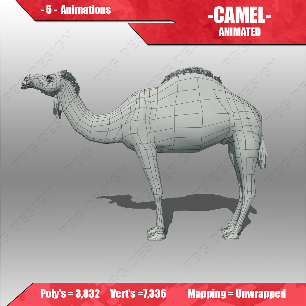 Camel Animated Low-poly 3D model_7