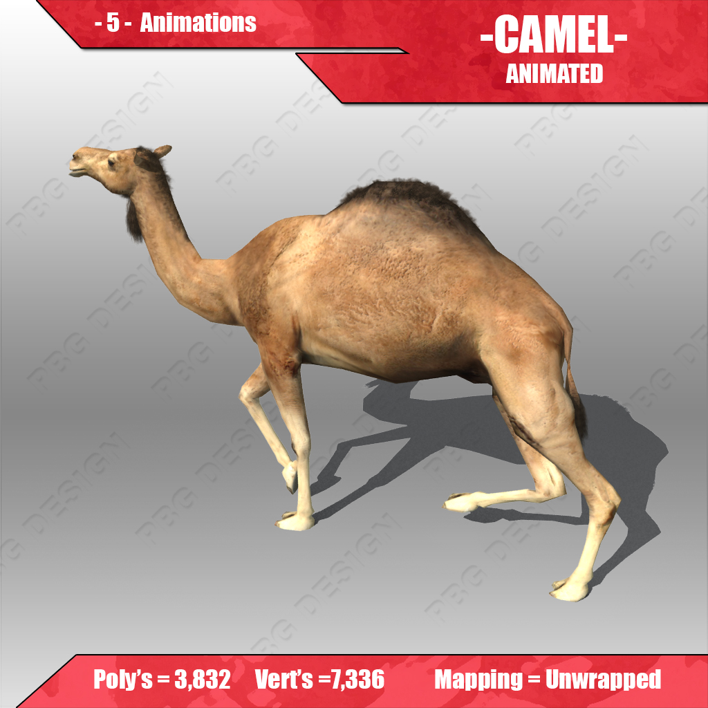 Camel Animated Low-poly 3D model_4