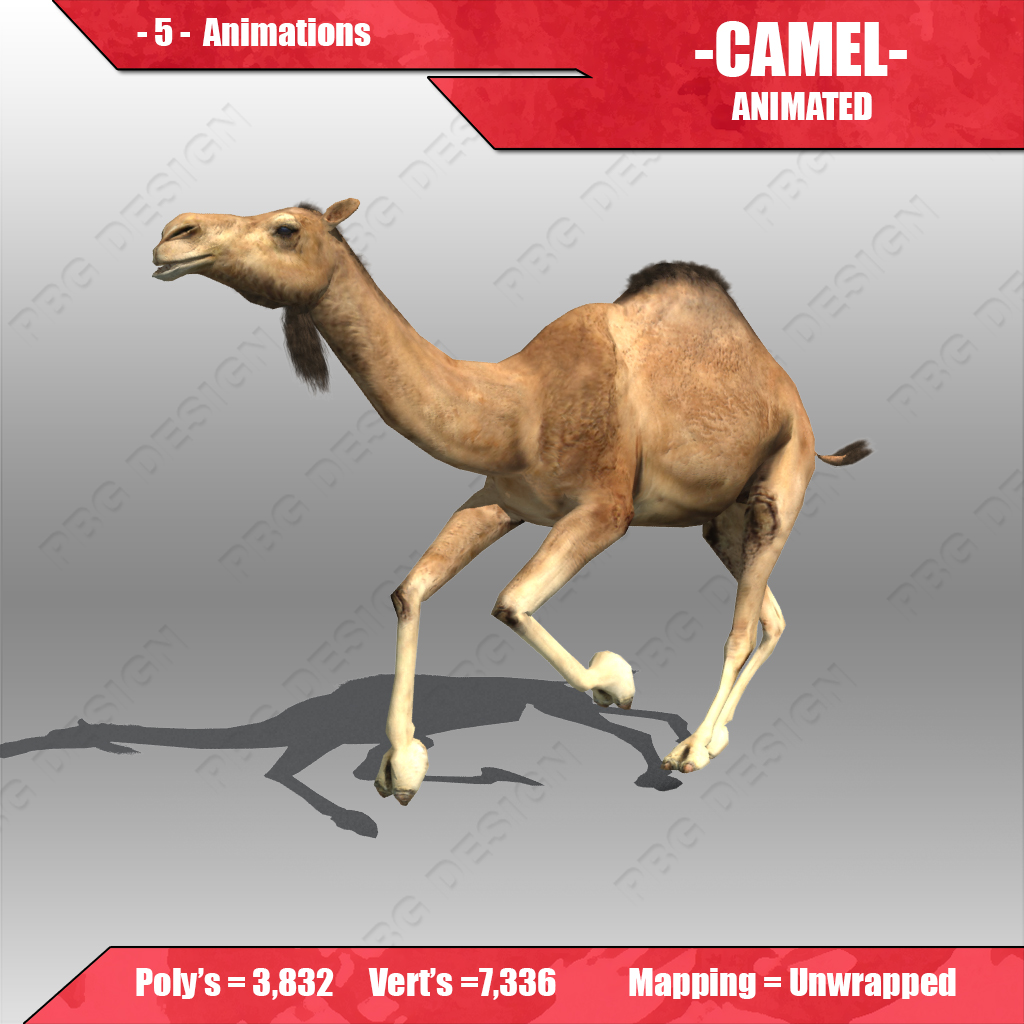 Camel Animated Low-poly 3D model_3