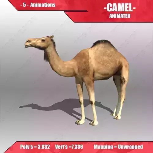 Camel Animated Low-poly 3D model