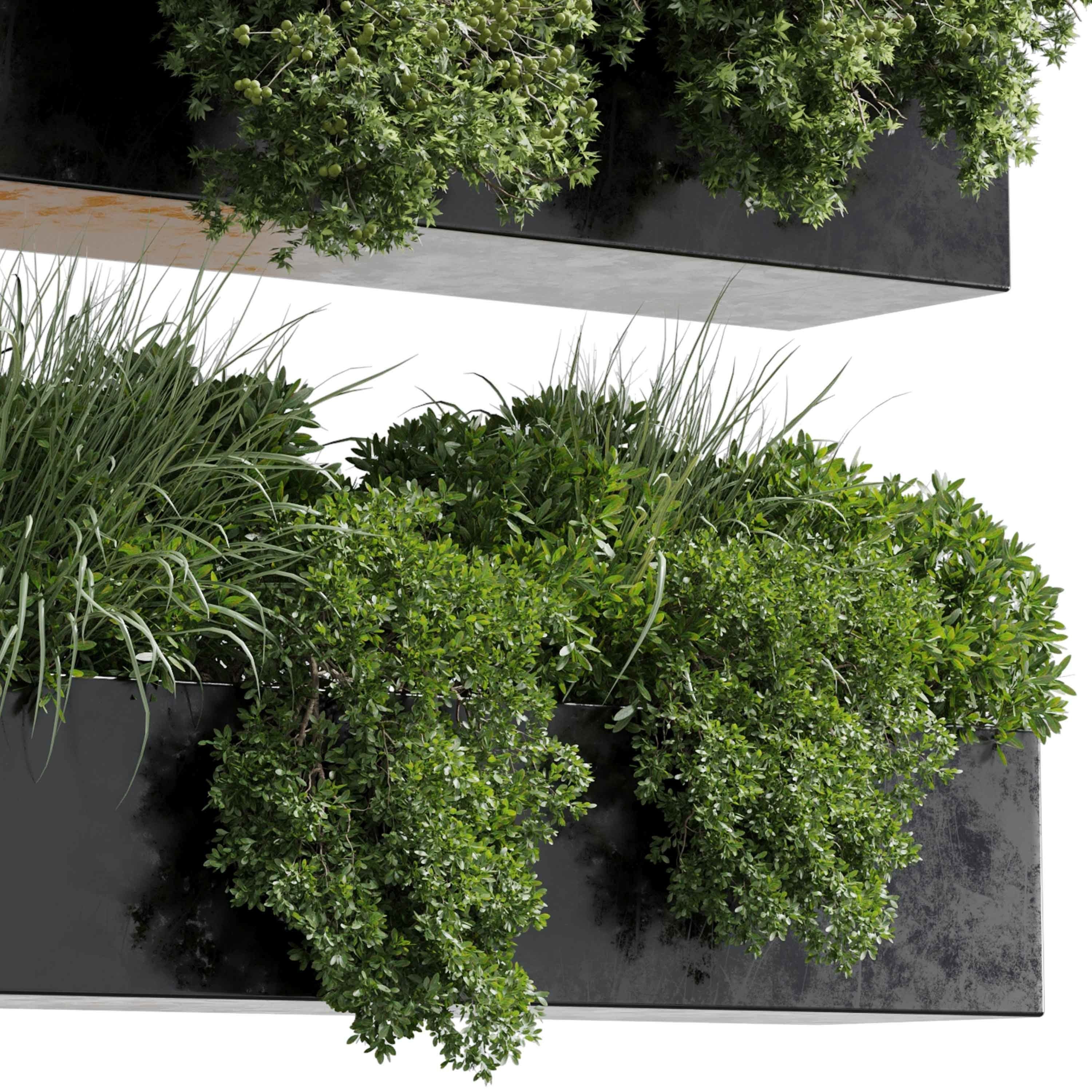 wall plant - hanging plants collection Indoor plant 446  3D model_5