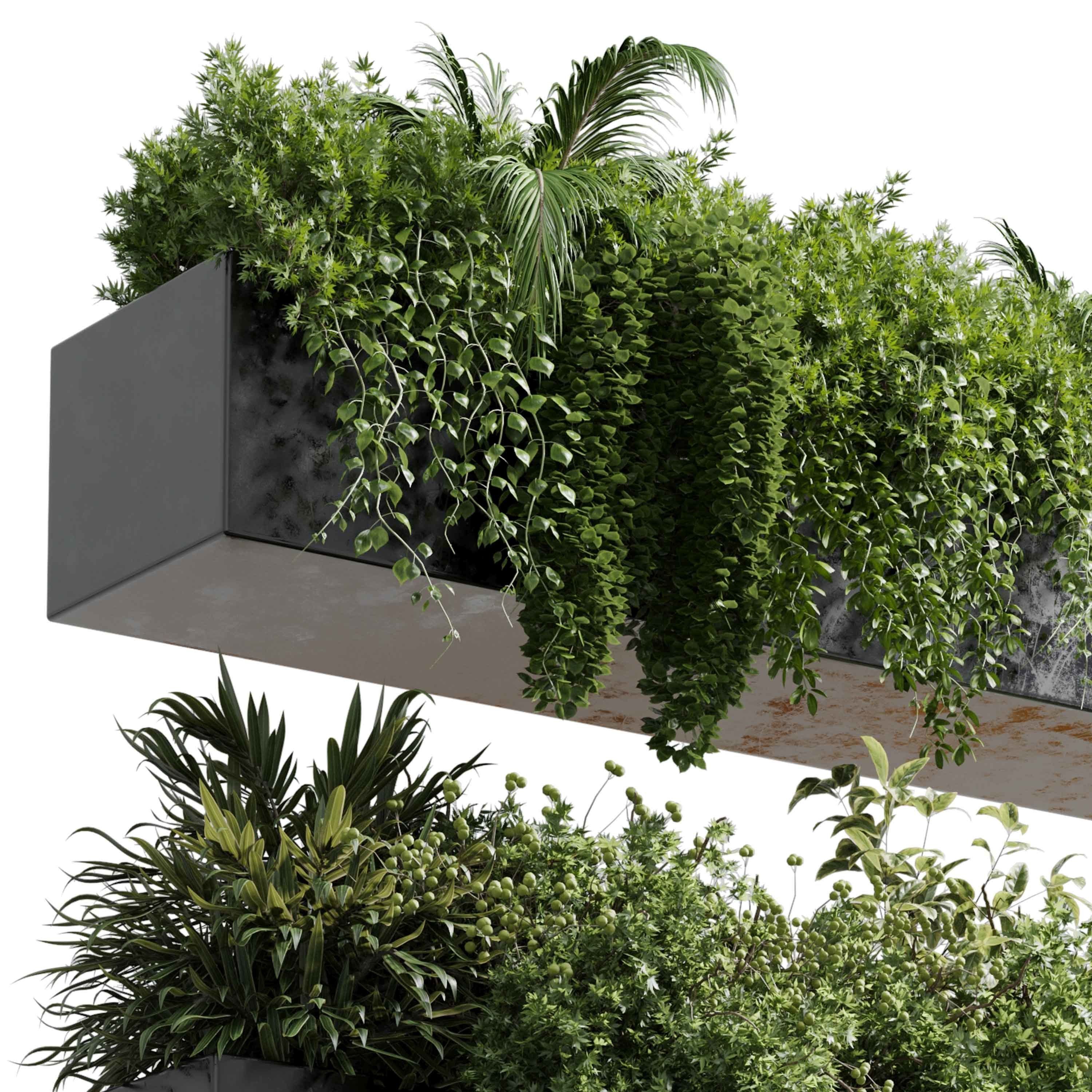 wall plant - hanging plants collection Indoor plant 446  3D model_3