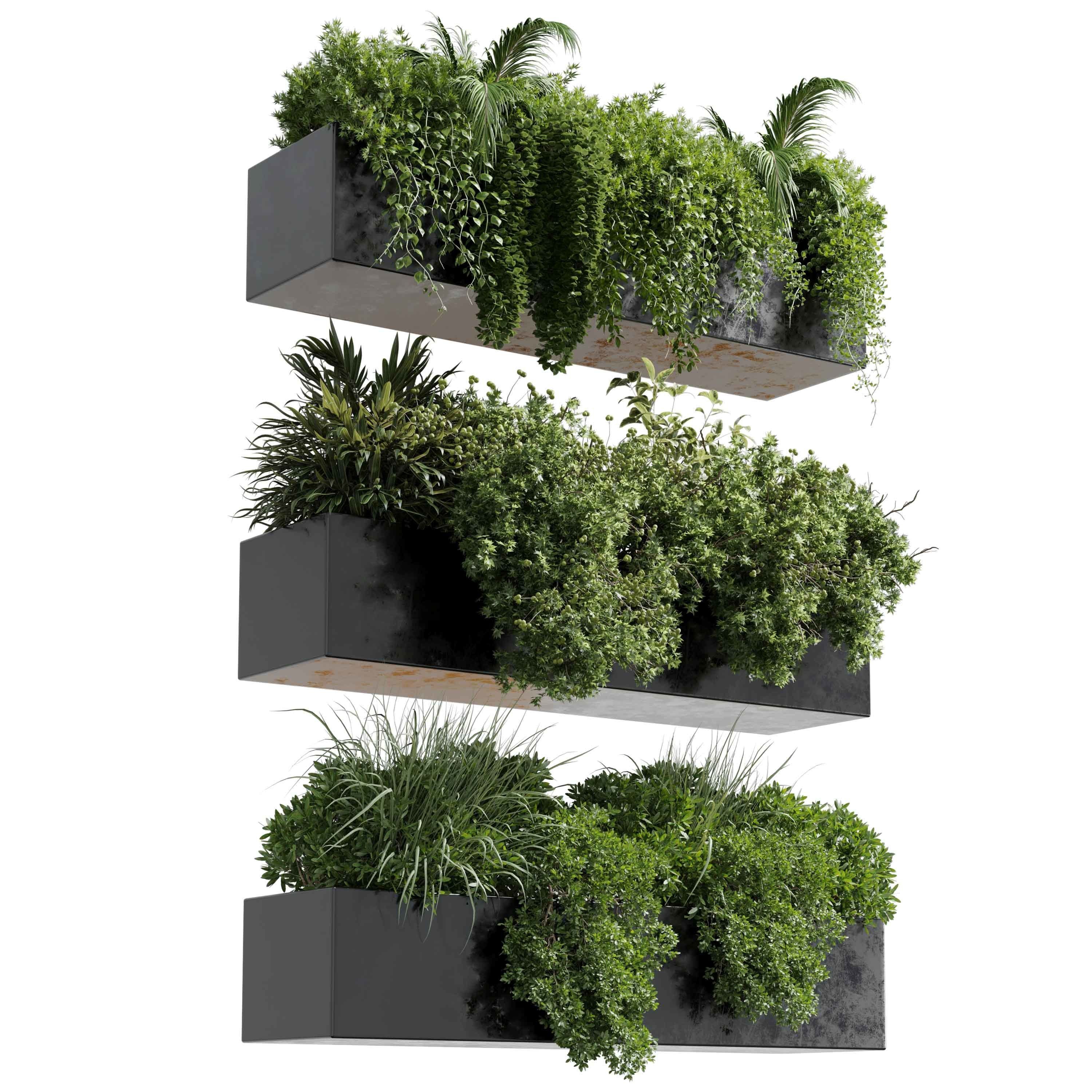 wall plant - hanging plants collection Indoor plant 446  3D model_1
