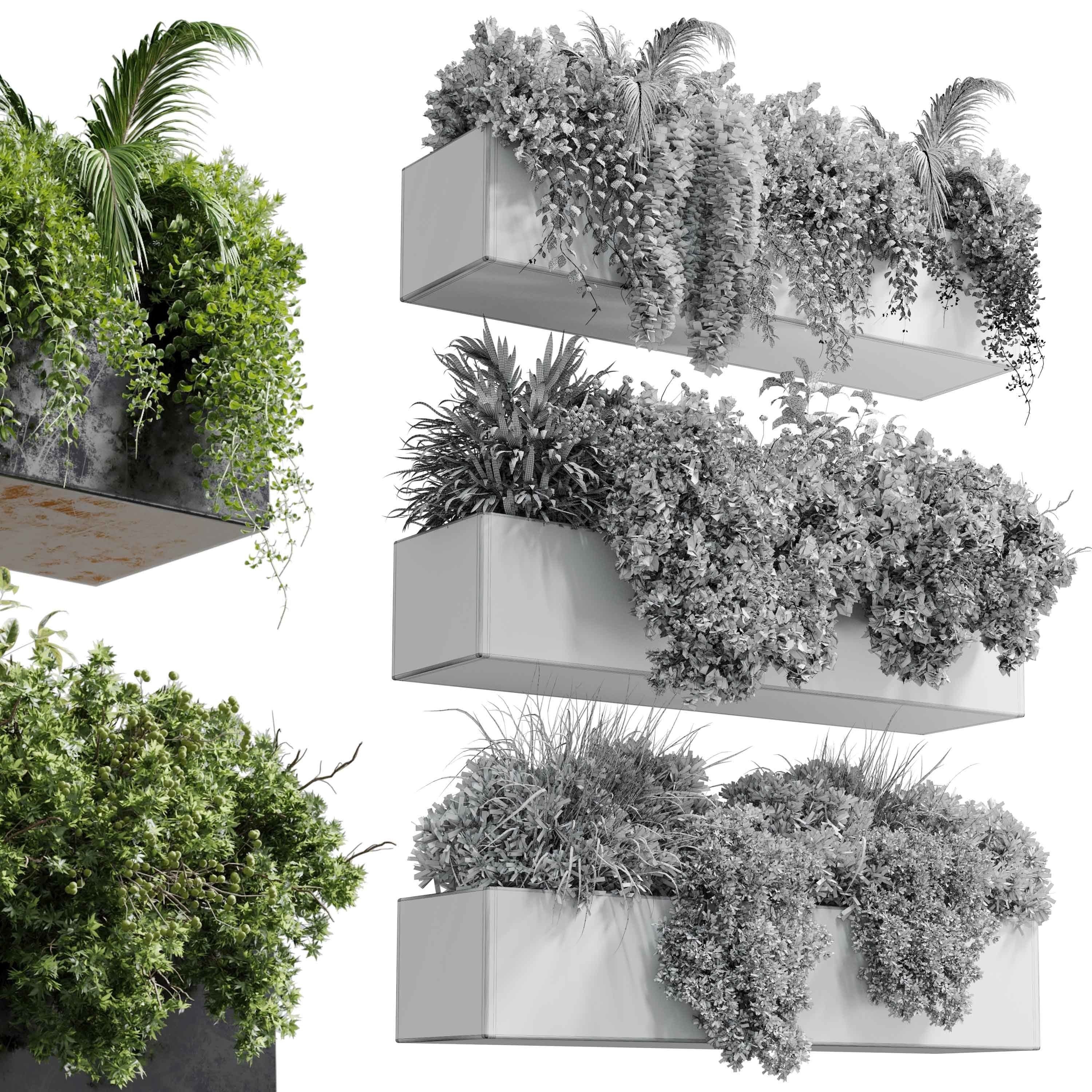 wall plant - hanging plants collection Indoor plant 446  3D model_6