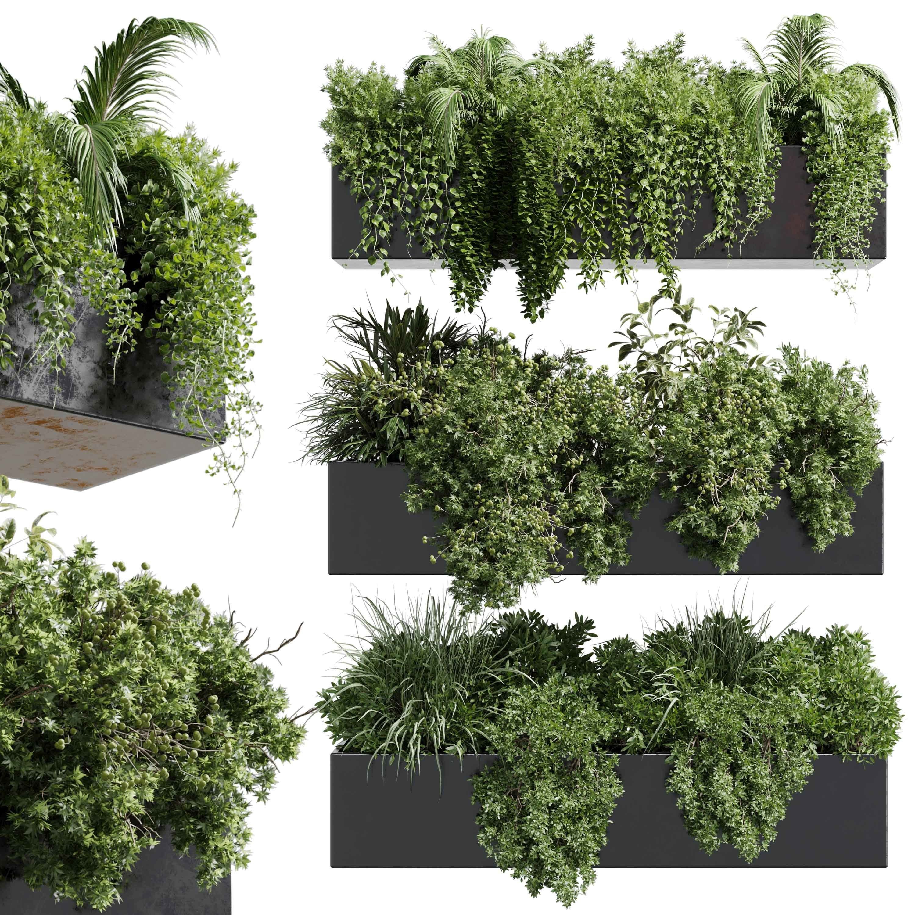 wall plant - hanging plants collection Indoor plant 446  3D model_2