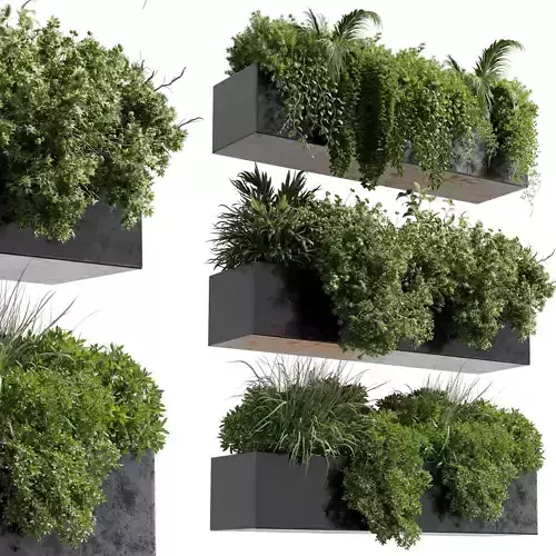 wall plant - hanging plants collection Indoor plant 446  3D model