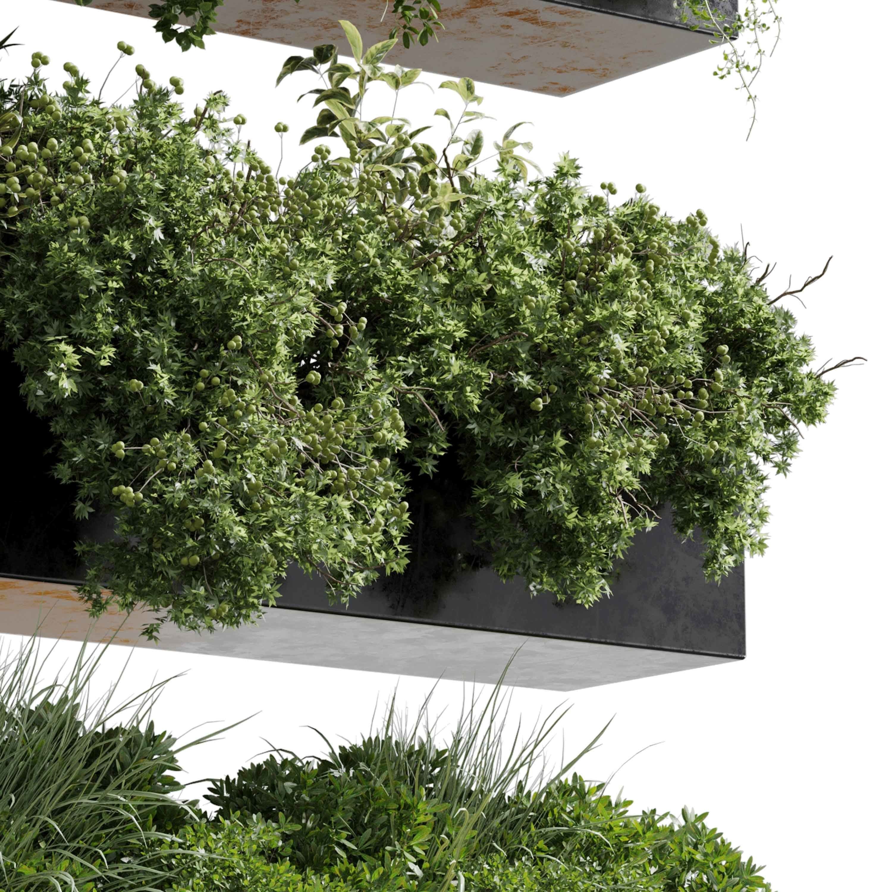 wall plant - hanging plants collection Indoor plant 446  3D model_4