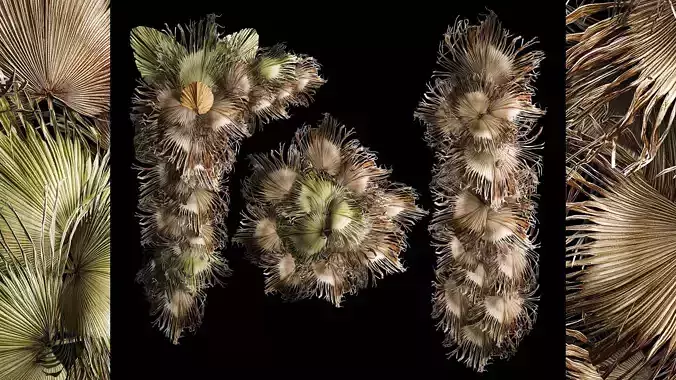 Wall panel made of dried flowers leaves of palm branches 307