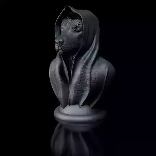 Australian Shepherd - with Cape