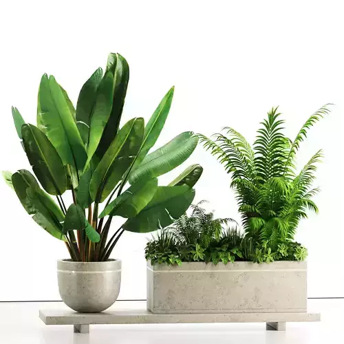 Indoor Plants in rusty Concrete Pot - Set-82 3D model