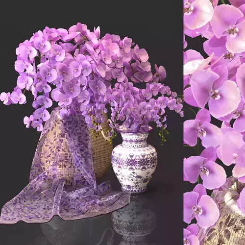 Orchid Flower Set -05 3D model