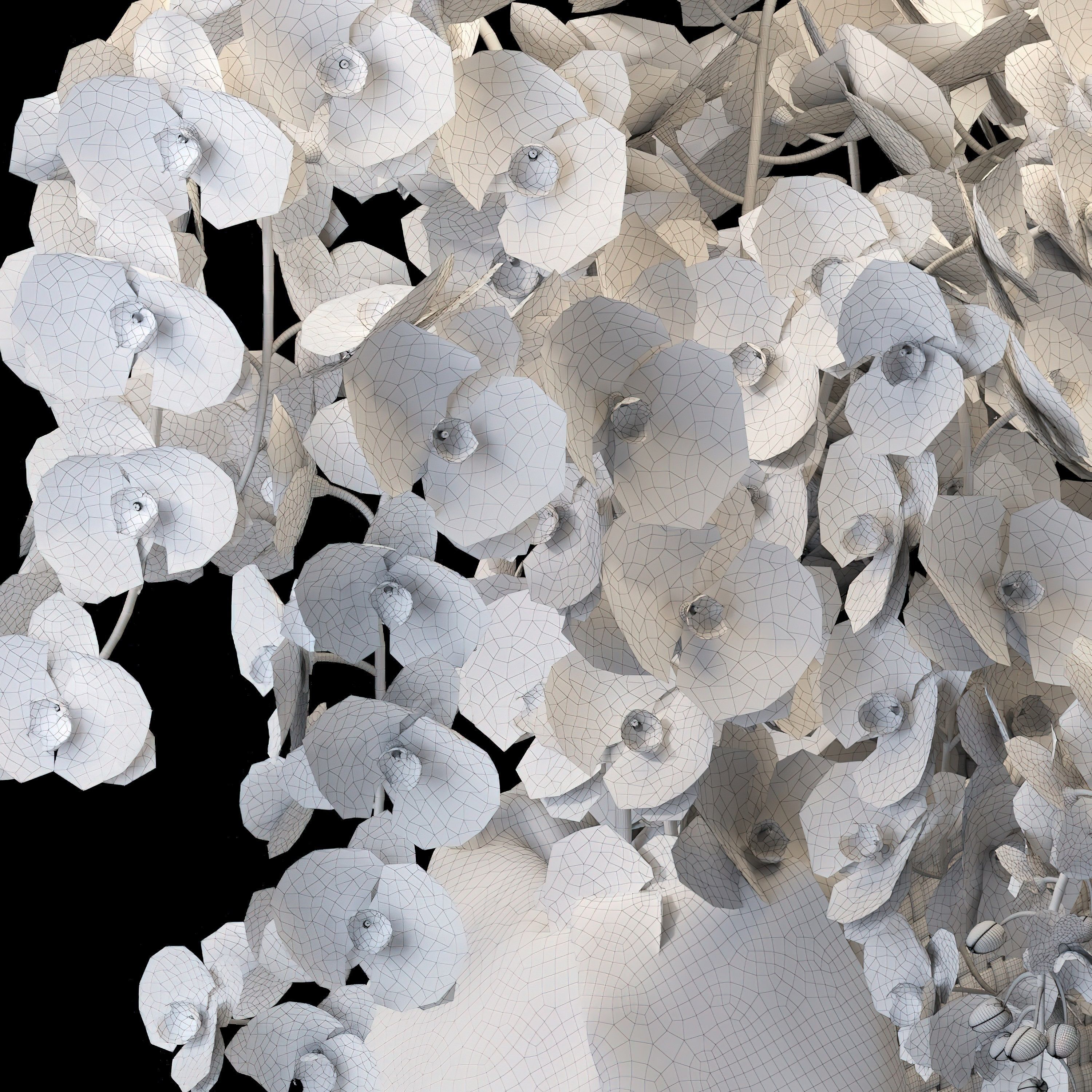 Orchid Flower Set -05 3D model_4