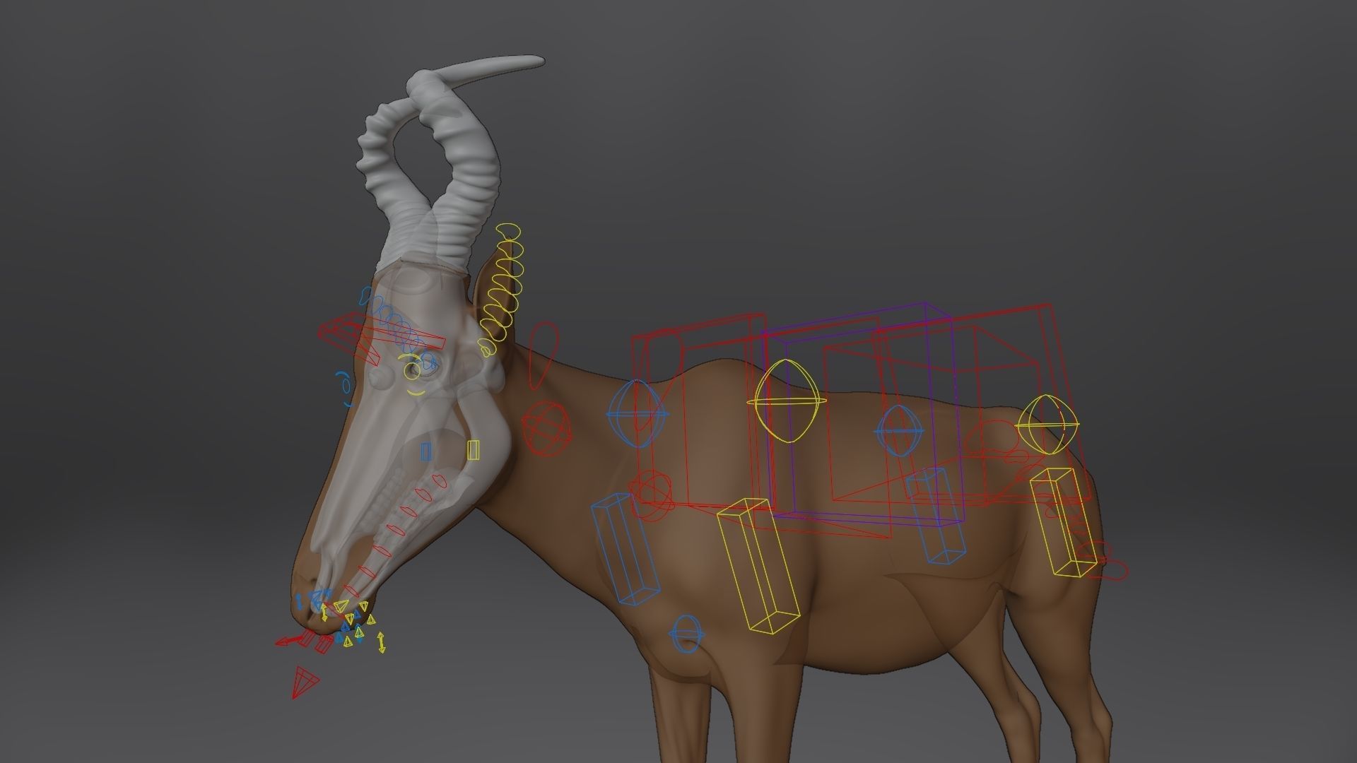 Buselaphus  VFX Grace 3D model_21