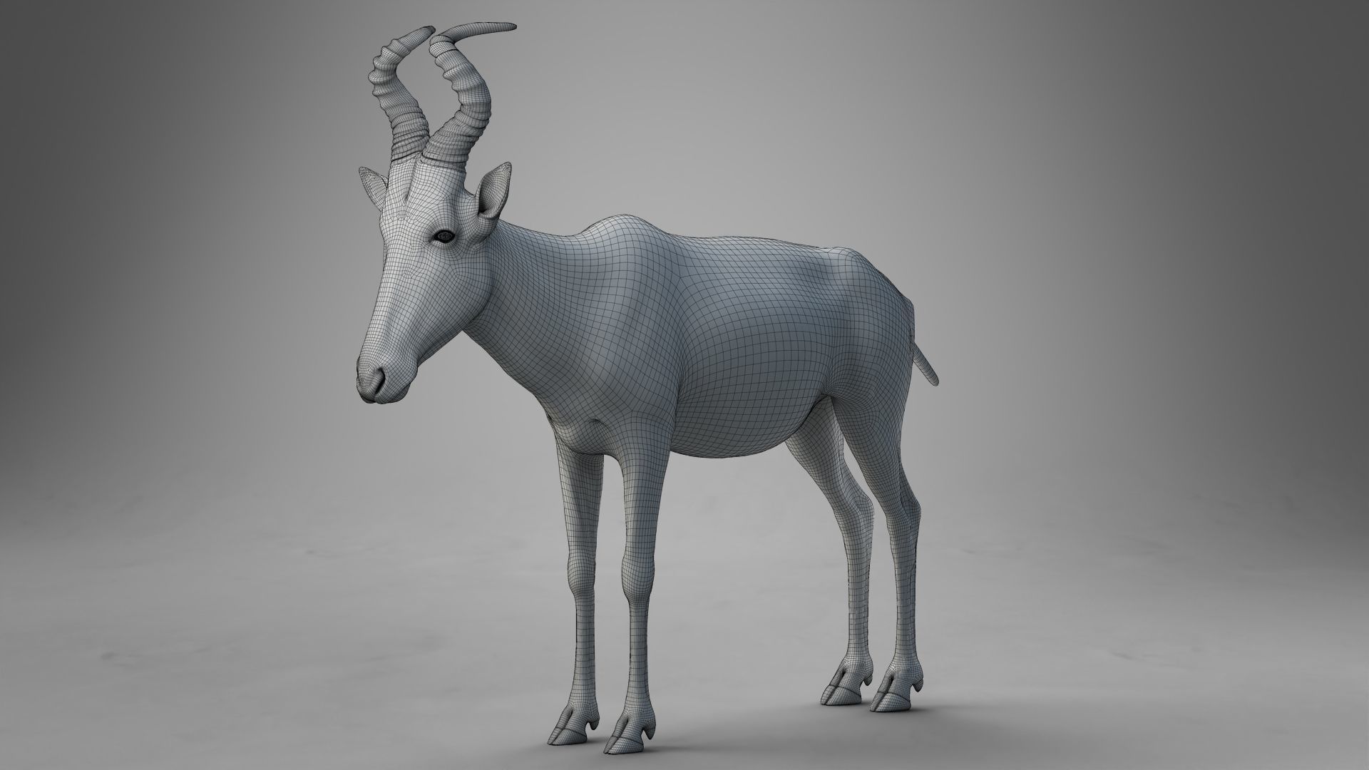 Buselaphus  VFX Grace 3D model_26