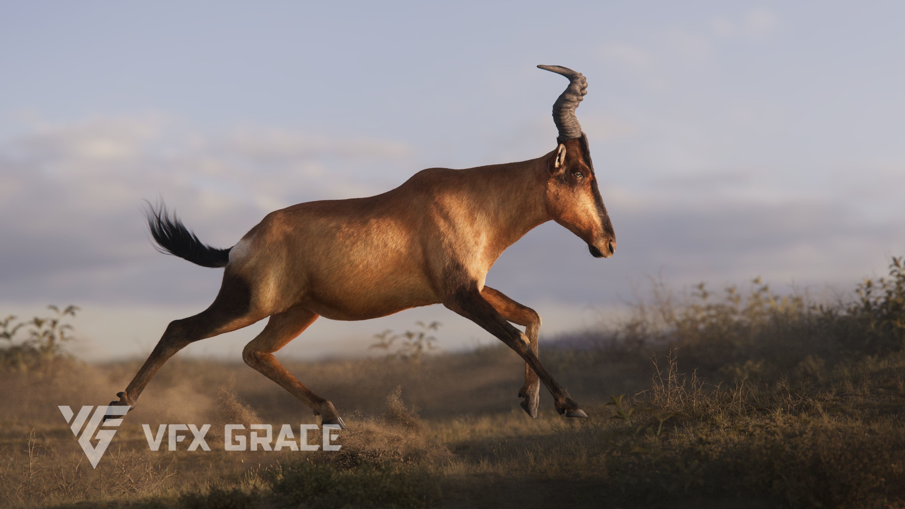 Buselaphus  VFX Grace 3D model_7