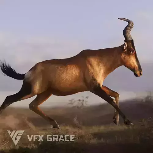 Buselaphus  VFX Grace 3D model