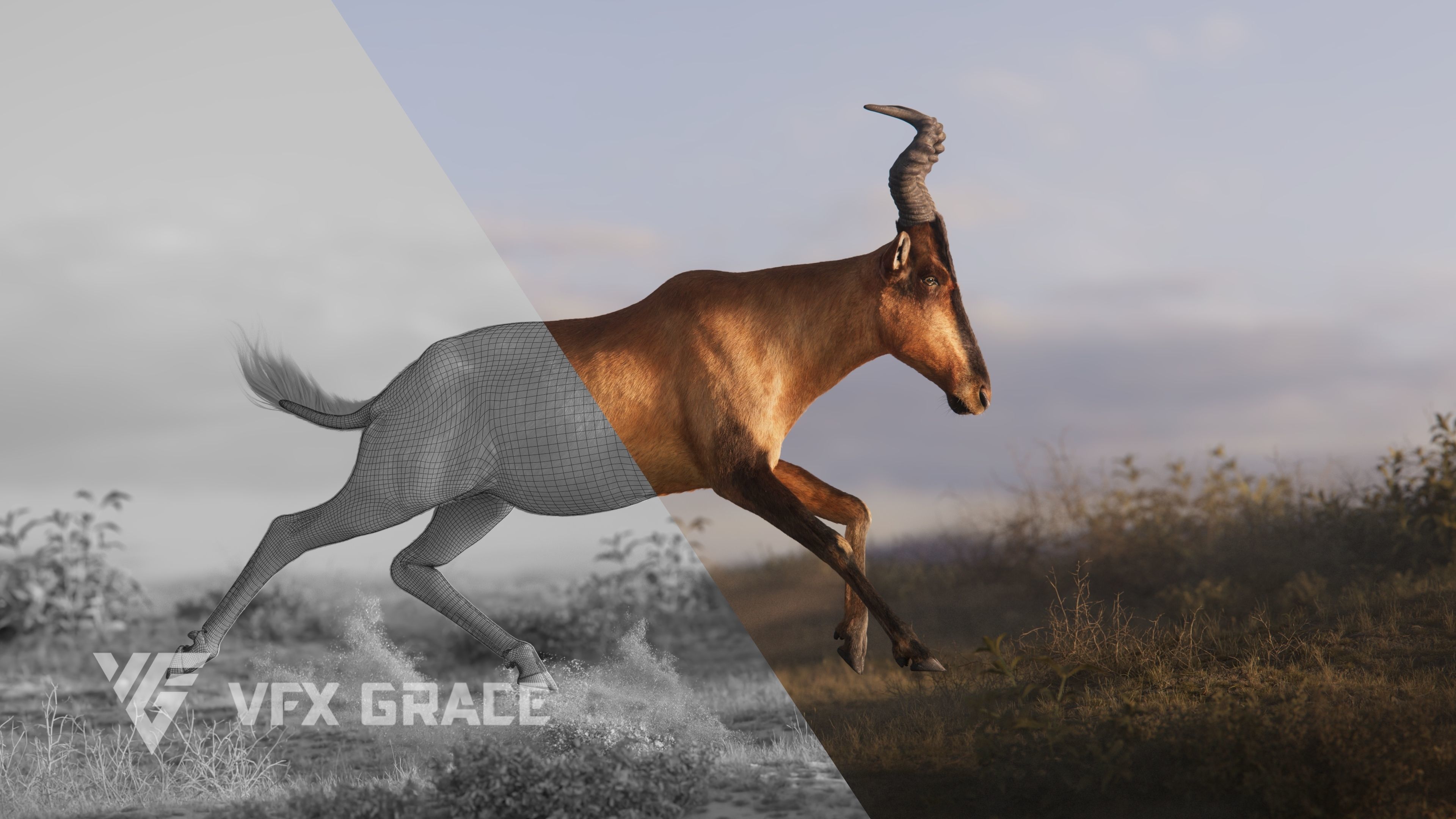 Buselaphus  VFX Grace 3D model_9