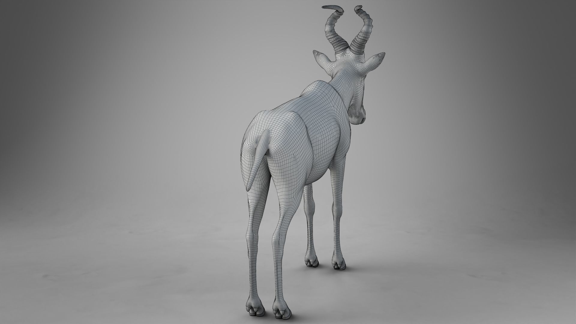 Buselaphus  VFX Grace 3D model_27