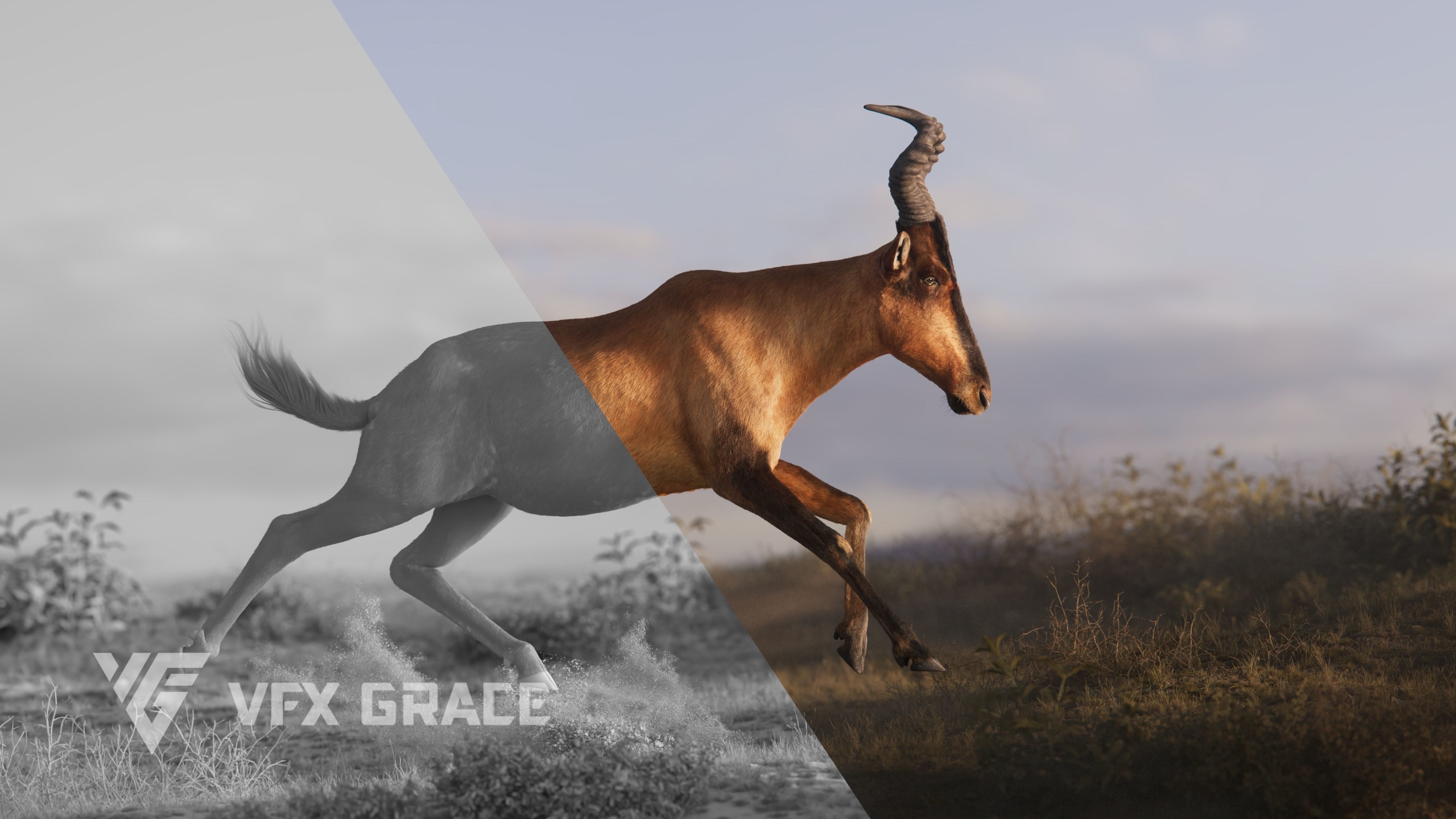 Buselaphus  VFX Grace 3D model_8