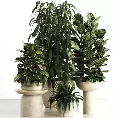 Indoor plant in Concrete pot set 81 3D model